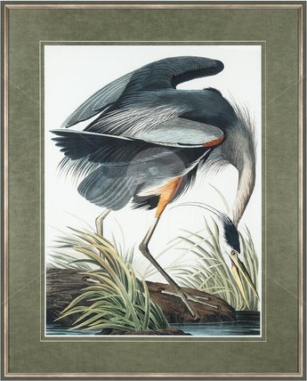 Image of Vintage Blue Heron (Available 8th June)