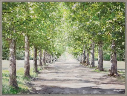 Image of Avenue of Trees