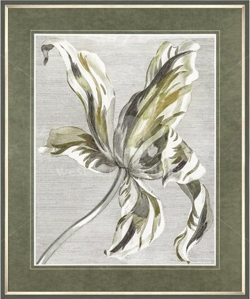 Image of Tulip Bloom (Available 30th June)