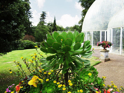 Image of By The Palm House 2
