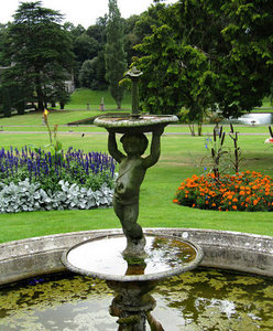 Image of The Water Feature