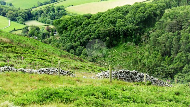 Image of Countisbury Hill 1 - Colour Photograph