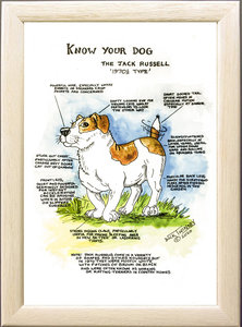 Image of The Jack Russell Terrier