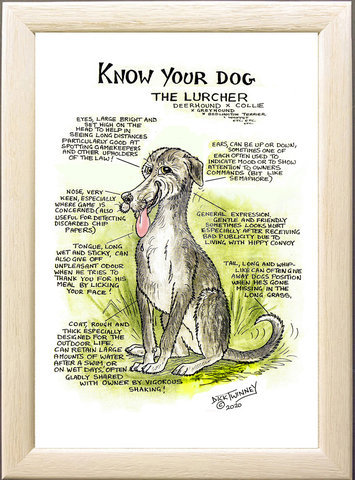 Image of The Lurcher