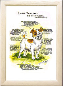 Image of The Jack Russell Terrier (broken coat)