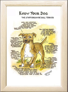 Image of The Staffordshire Bull Terrier (Staffy)