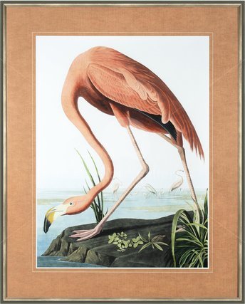Image of Vintage Flamingo