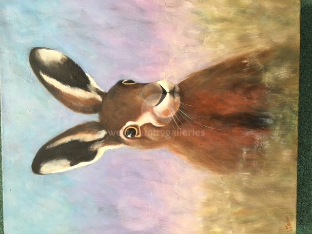 Image of Hare