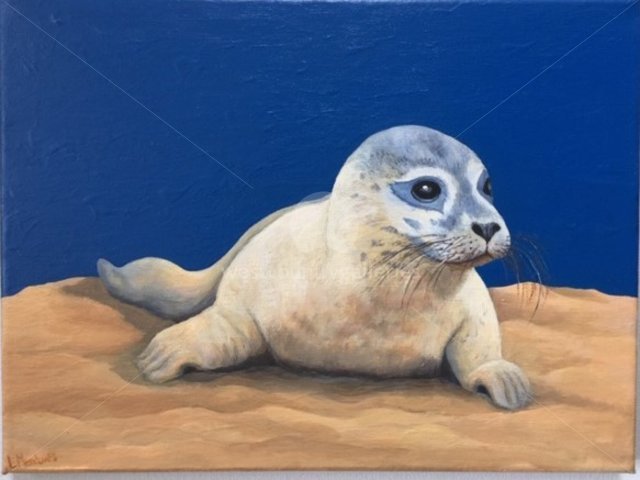 Image of Baby Seal