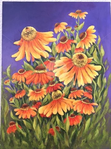 Image of Heleniums