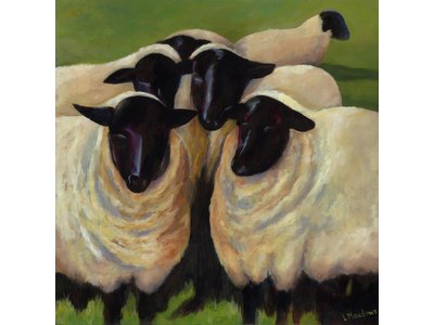 Image of Suffolk Sheep - Limited Edition print on canvas 